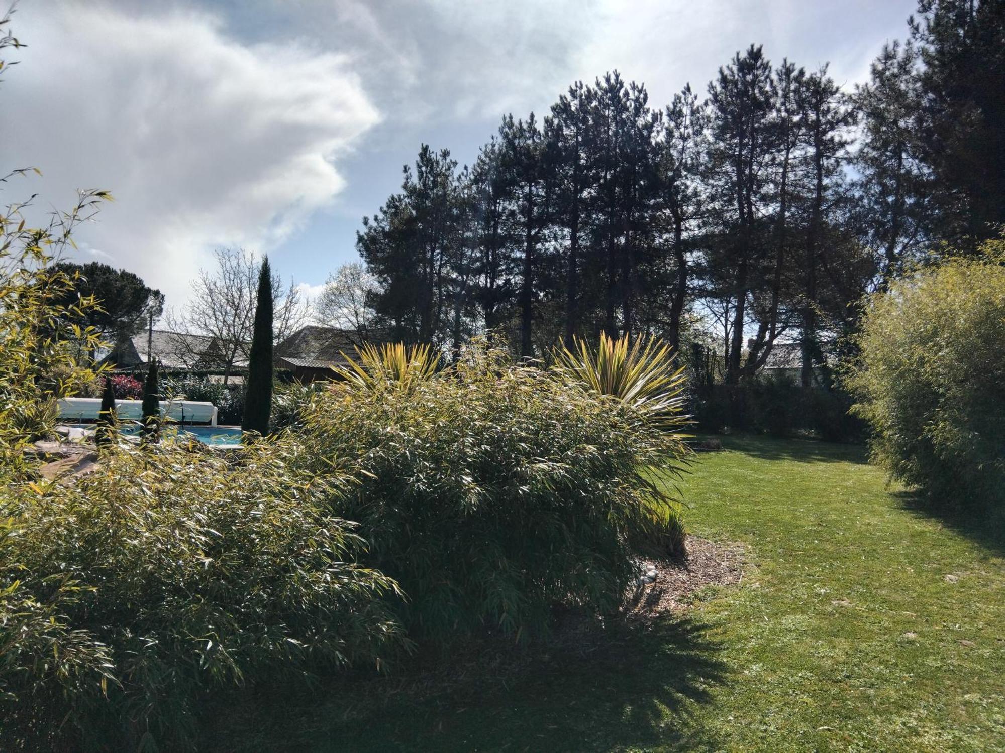 Chambre Dans Un Ecrin De Verdure Angrie Esterno foto